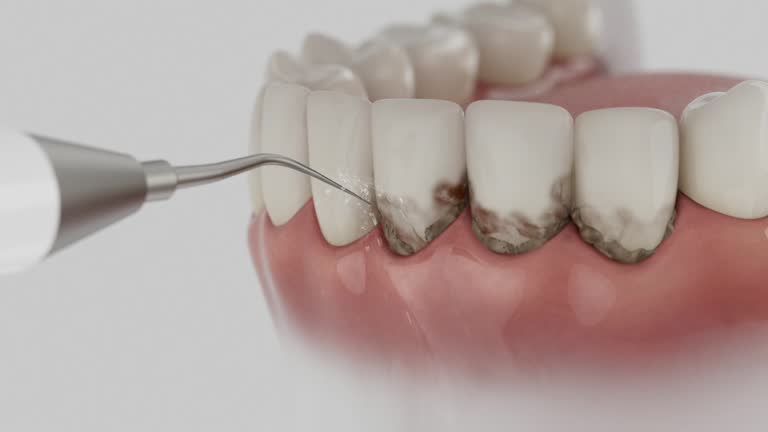 Reliable Dental contractor in Mound Bayou, MS by Dentist Open Now